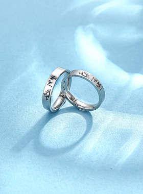 赵雷小刺猬【理想戒指】