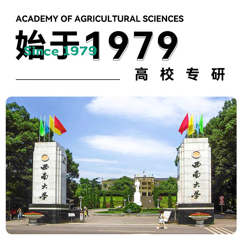 西南大学魔芋面 0脂肪热量低卡即食免煮袋装凉面代餐速食方便食品 - 图3