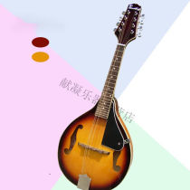 High-end intermediate M100 treble with eight strings mandolin instruments Mantuo Suzuki and the complete yellow M100 luxurious lift