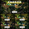 Twelvetooo Landscape Garden Lighting