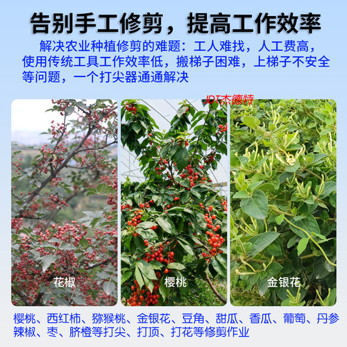 新款电动打尖神器樱桃修剪梢打尖机金银花椒掐芽头锂电动剪刀荔枝 - 图0