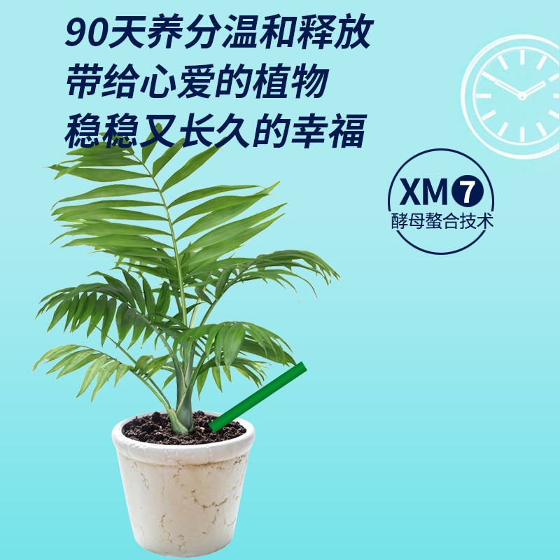 若美斯缓释棒植物营养棒家庭园艺促生根缓释肥通用型施肥小绿棒 - 图1