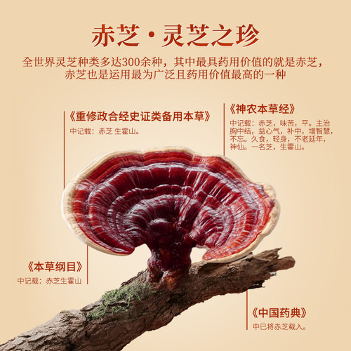 euroblue/欧蓝健破壁灵芝孢子粉颗粒免疫在线活力满格2g/袋60袋 - 图0
