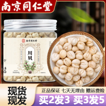 Nanjing Tongrentang Baicheon Baie 80g Sichuan Sichuan Bei Bubble Water Boiled Water Boiling Water Soup Stew Soup Official Website Official Flagship Store