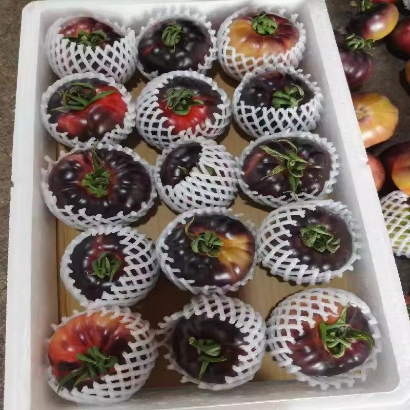 顺丰山东紫罗兰番茄新鲜现摘丑番茄火山紫马蹄番茄紫西红柿大果,淘宝优惠券,粉丝福利购,淘宝优惠卷