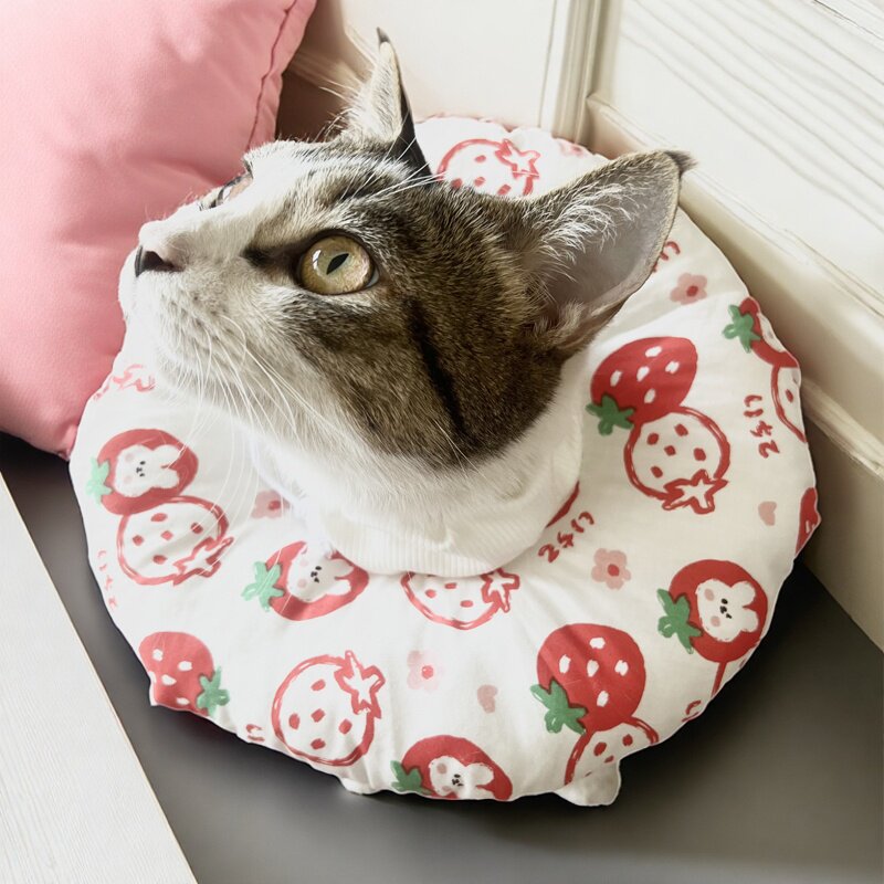 猫咪狗狗绝育防舔耻辱软圈保护套脖圈脖套可爱水果宠物伊丽莎白圈,淘宝优惠券,粉丝福利购,淘宝优惠卷