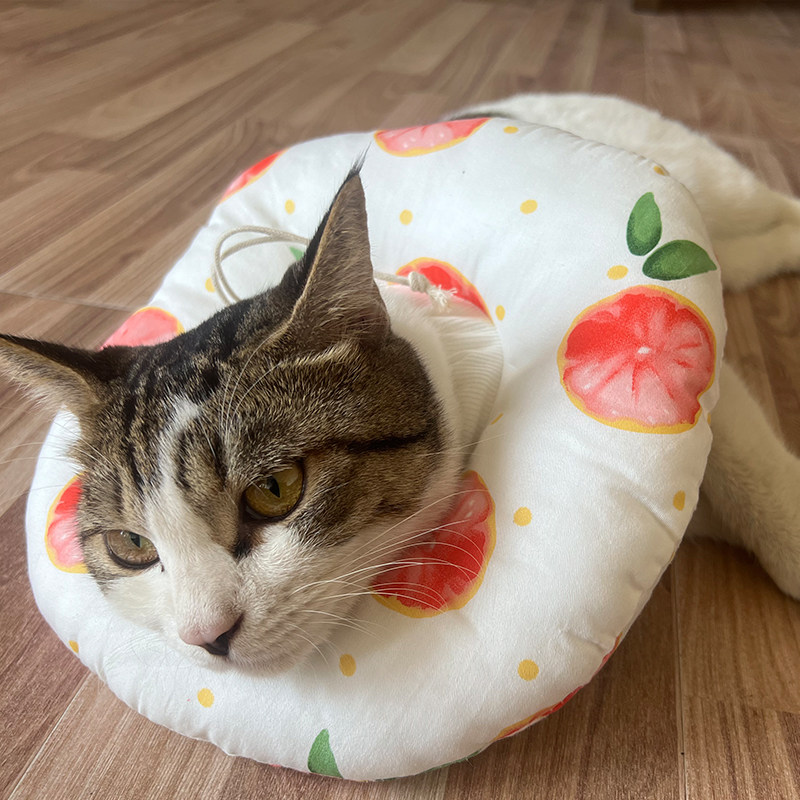猫咪狗狗绝育防舔耻辱软圈保护套脖圈脖套可爱水果宠物伊丽莎白圈,淘宝优惠券,粉丝福利购,淘宝优惠卷