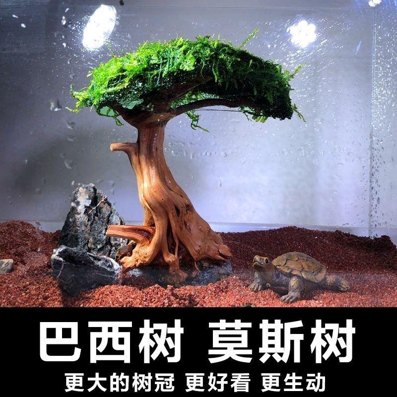 莫斯树成品鱼缸树沉木水草活体植物造景生态鱼缸造景摆件懒人易养