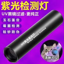 Xinjiang Meijialamp Lighting Wuerds Lights with Cat Moss Light Phishing Ultraviolet Fluorescent Agent Purple Light Spoils