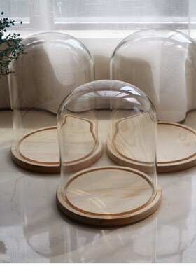 热卖大号玻璃罩 七夕节永生花防尘直径18-25厘米 创意装饰品摆件