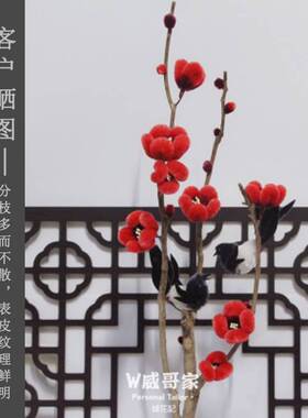 枯枝干花分杈树枝diy手工创意插花装饰干枝造景枝丫禅意天然花枝