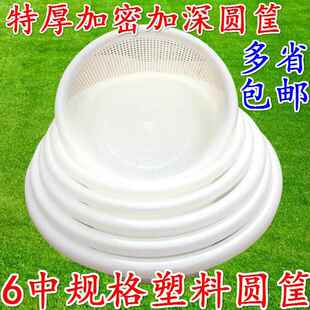 大号塑料筐子篮圆形超市漏筐加厚加密厨房洗蔬菜米筛密眼收纳框