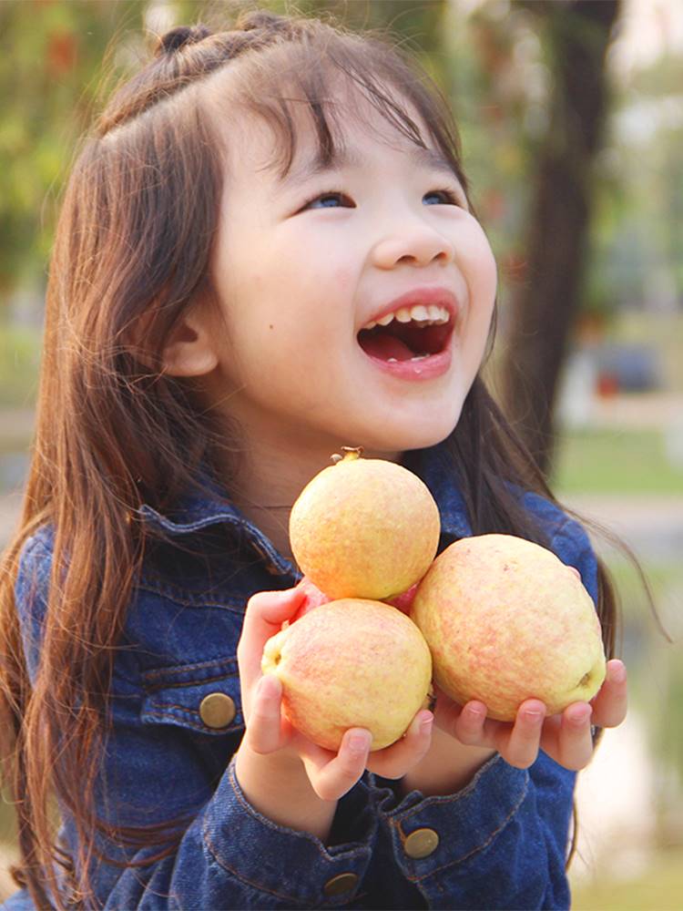 胭脂红芭乐红心番石榴软糯鸡屎果当季整箱应季水果潘巴乐10斤包邮 - 图0