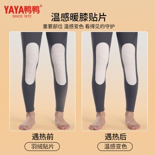 鸭鸭羽绒蚕丝护膝保暖裤一条