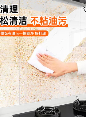 【2025新款】进口加厚厨房贴纸