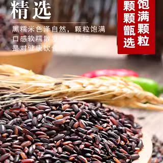 血糯米东北新米正宗黑糯白糯米紫米饭团芋泥热奶宝包粽子烘培商用 - 图0