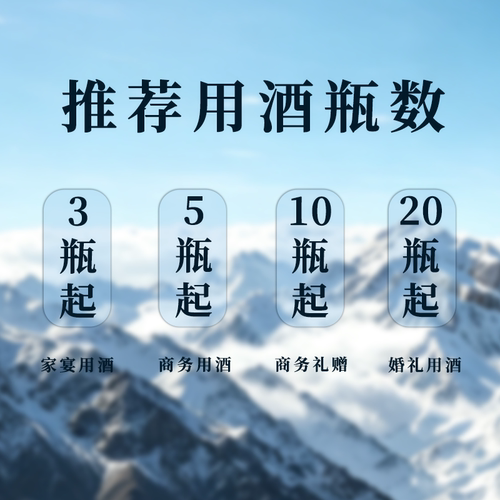 【官方旗舰店】辛巴赫精酿 珠峰艾尔城堡系列高端啤酒500ml*12瓶 - 图2