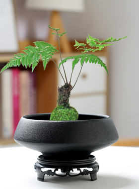 一件苔藓球花盆陶瓷中式亚光桌面