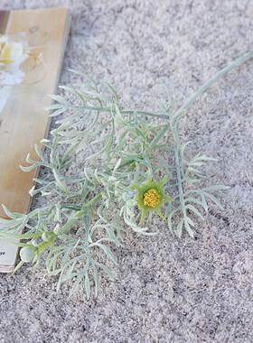 植毛小枝波斯菊叶公主叶仿花假