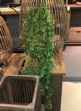 仿金钟柳花藤客厅摆设塑料装饰玫