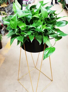 花店北欧铁艺花架展示架花店展示