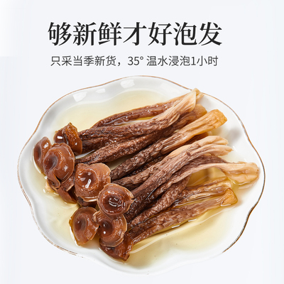 农小甄新鲜鹿茸菇干货煲汤脆脆菇