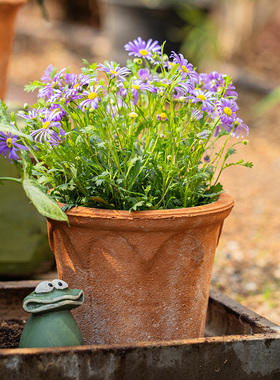 红陶花盆绿植透气简约家用粗陶盆