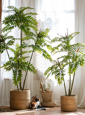大型仿真植物香椿树假绿植掬熙