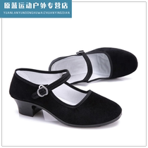 Xu Chess Apricot Test Class Dance Black Heel Shoes Tibetan Dance Shoes Women Black Square Dance Shoes Soft Bottom Four Seasons Dance Shoes Beijing