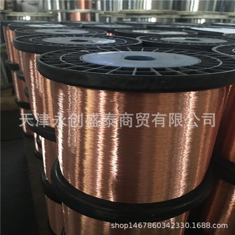 t2紫铜丝 保电阻紫铜线 TU1无氧紫铜丝 镀锡铜线 紫铜线 - 图2