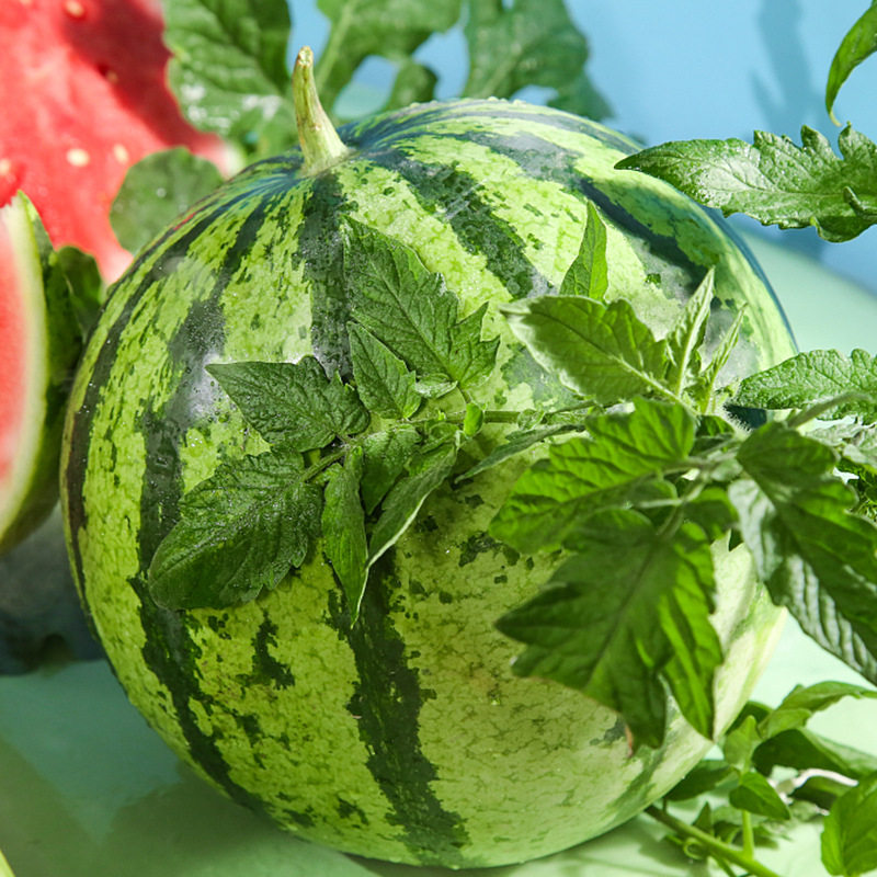 麒麟西瓜新鲜当季水果现摘皮大西瓜有籽甜西瓜正宗包邮,淘宝优惠券,粉丝福利购,淘宝优惠卷