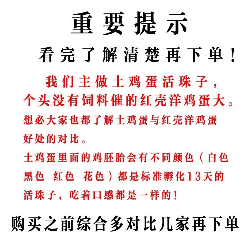 揽星五香13天新鲜活珠子鸡蛋熟鸡胚喜蛋毛鸡蛋钢化蛋包邮厂家实惠-图0