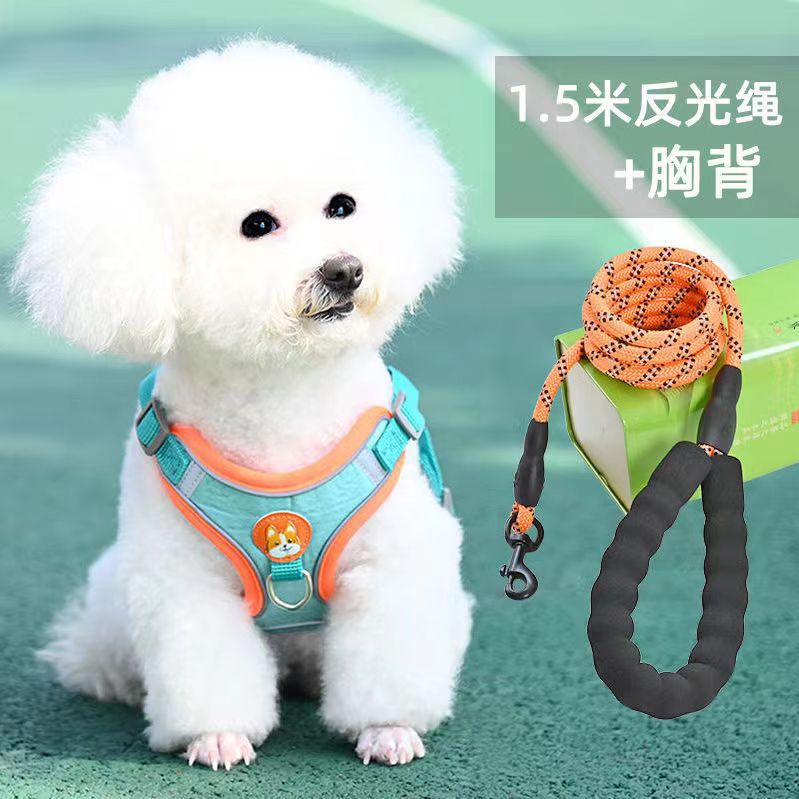 背心式狗狗牵引绳小型犬比熊泰迪博美小狗幼犬胸背带遛狗绳狗链子 - 图1