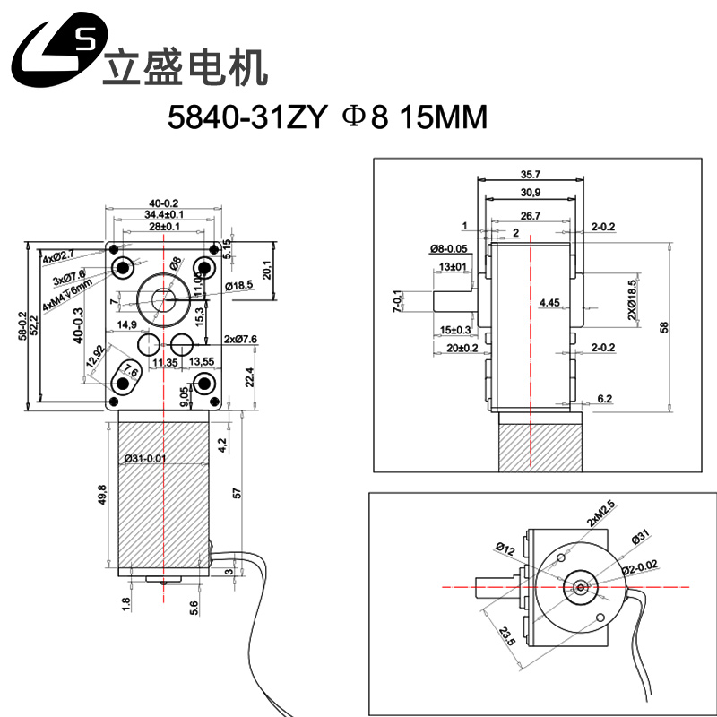 立盛5840-31ZY微型直流减速电机涡轮蜗杆自锁调速慢速马达12V24V