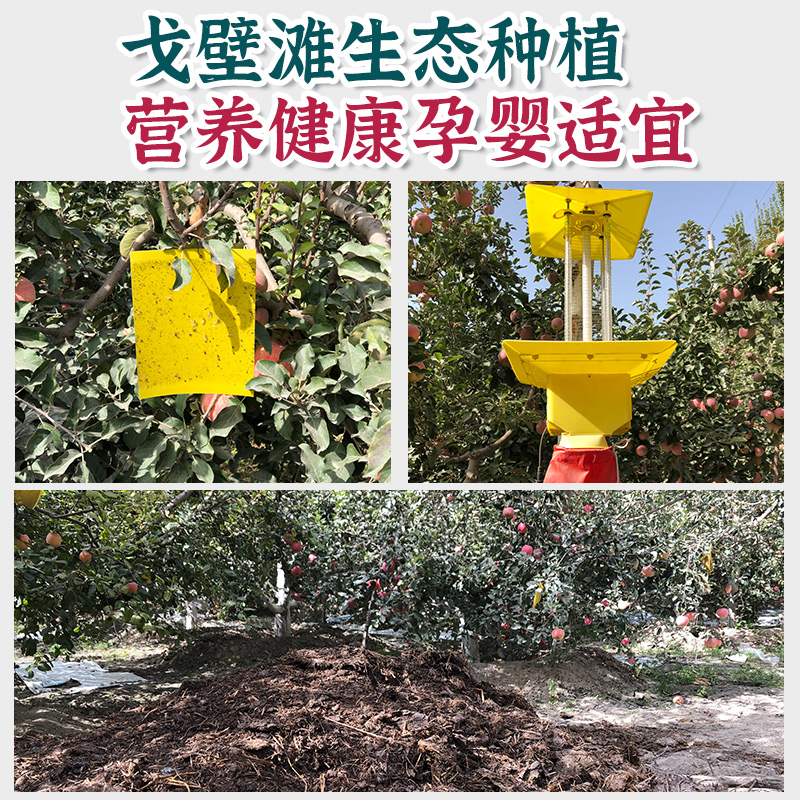 新疆阿克苏樱桃小苹果新鲜水果当季整箱脆甜鲜果正品冰糖心旗舰店,淘宝优惠券,粉丝福利购,淘宝优惠卷