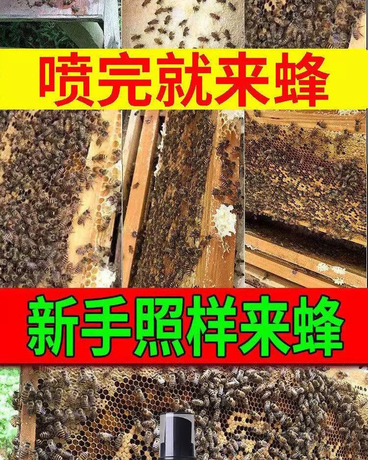 诱蜂神器诱蜂膏招蜂水蜜蜂信息素野外收蜂分蜂养蜂引蜂王专用神器 - 图0