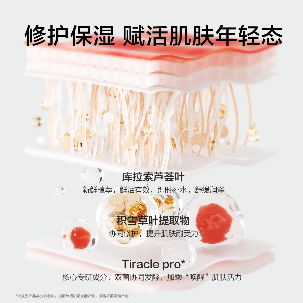  KANS韩束化妆品乳液/面霜