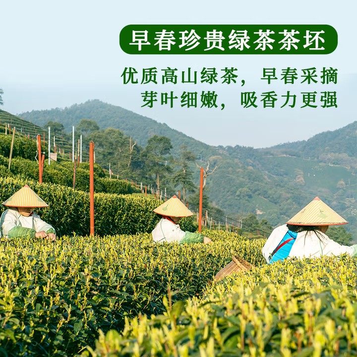 2025新茶特级茉莉花茶叶胖东来官方旗舰店正品飘雪浓香型茶包饮料