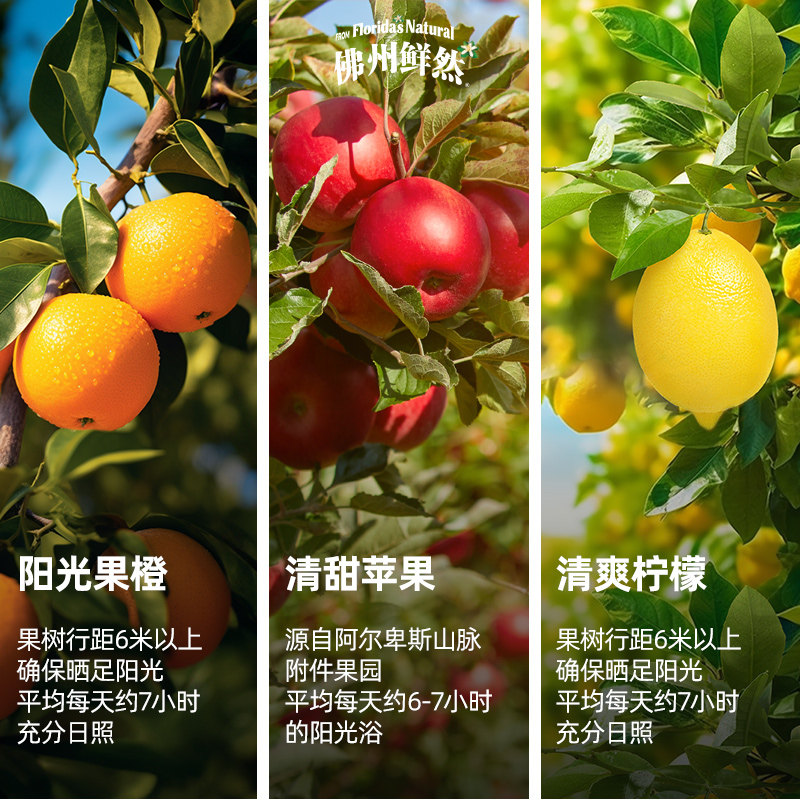 山姆同款 法国进口 Florida natural 佛州鲜然 NFC果汁 250ml*8瓶 聚划算天猫优惠券折后￥59包邮（￥79-20）多味可选