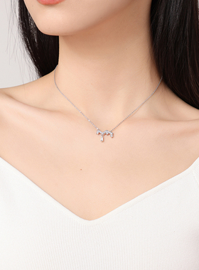 I Do&Co.乘风破浪项链女生925银轻奢小众锁骨链礼物送女友