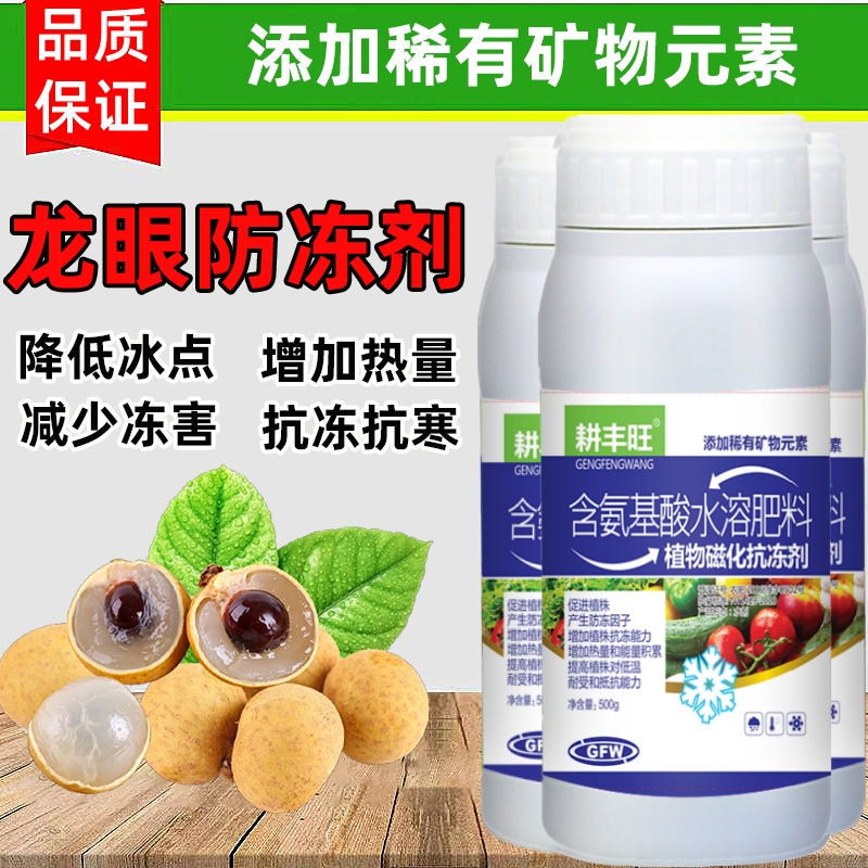 龙眼防冻剂龙眼防寒抗冻剂龙眼用药叶面肥解冻害抗低温龙眼防冻液-图2