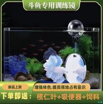 Fighting Fish Mirror Special Training Mirror Suspended Ball exhibition tail Exercise suction cup Rohan fish tank inside and outside Reyron Interactive mirror