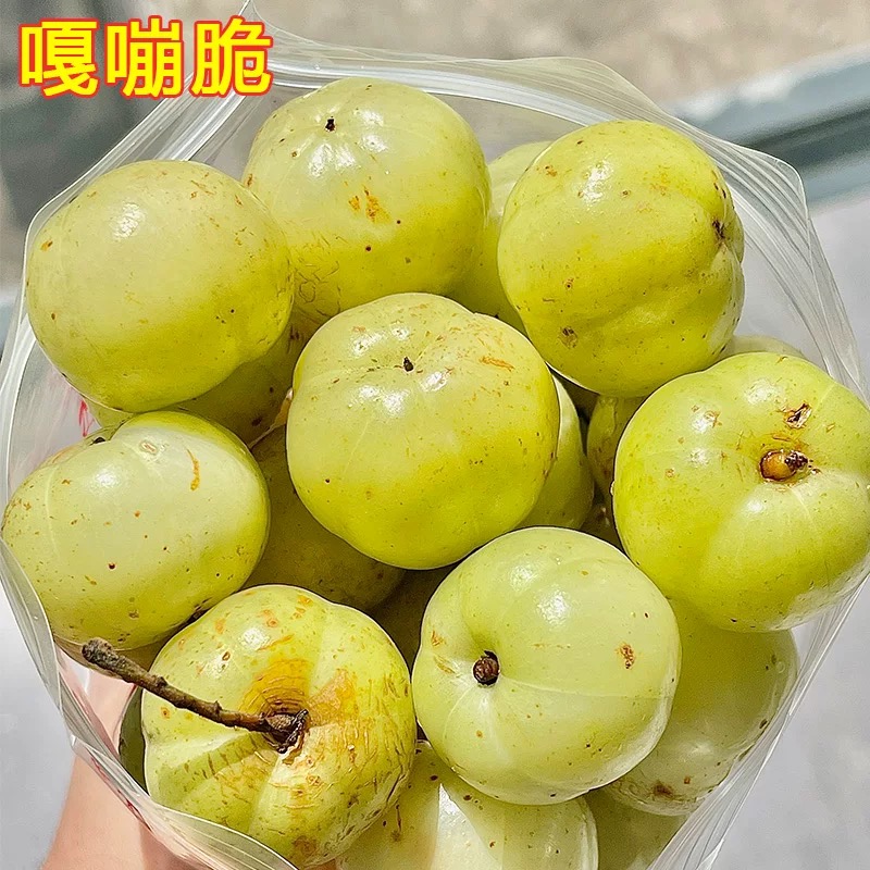 潮汕甜种油柑果现摘油甘果新鲜余甘子牛甘果柿饼甜油柑酸水果 - 图2