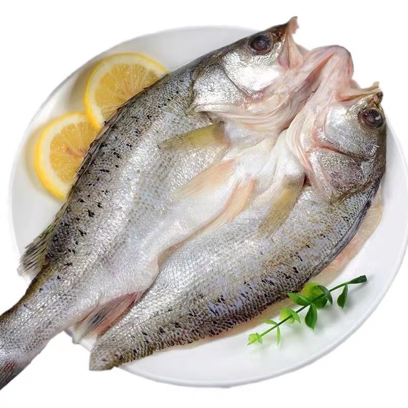 开背海鲈鱼七星大鲈鱼免清理鲈鱼无防腐剂无保水剂8分钟鲜吃鱼,淘宝优惠券,粉丝福利购,淘宝优惠卷