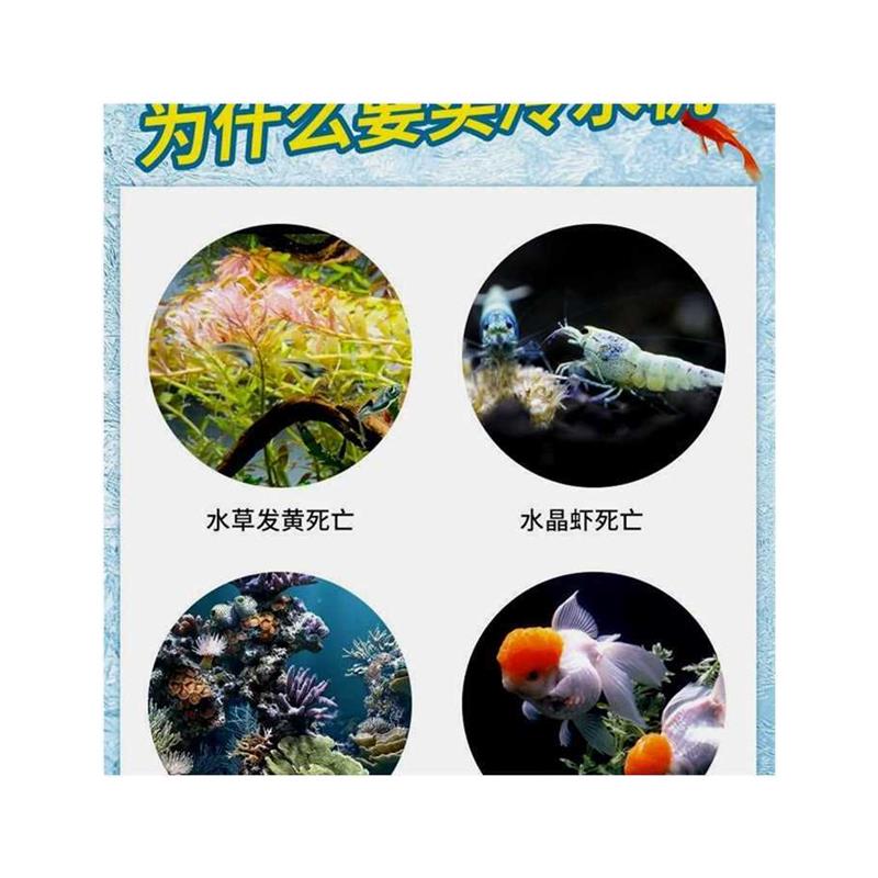 家用鱼缸冷水机小型迷你静音水族冷暖两用自动制冷机水母缸恒温机 - 图3