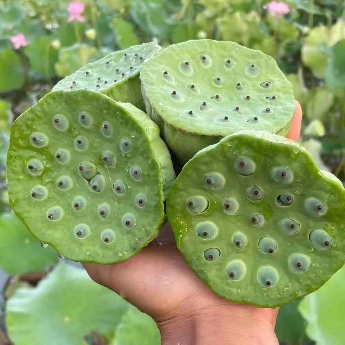 商品详情图片