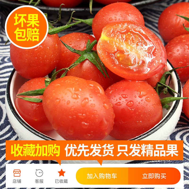 圣女果新鲜小番茄5斤水果柿子自然熟西红柿生吃樱桃千禧蔬菜包邮-图0