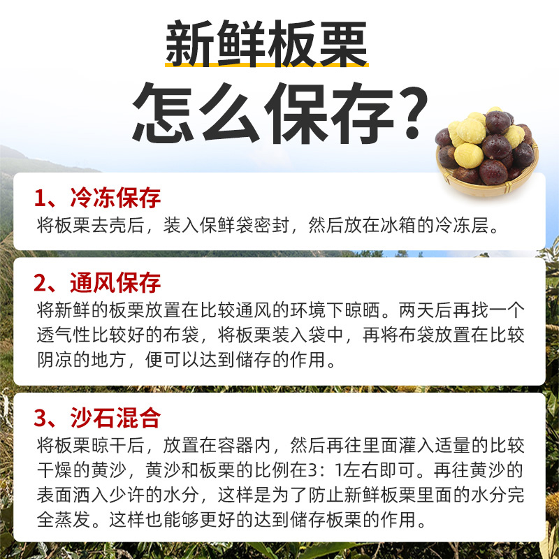 【20年老树果】辽宁丹东新鲜生现摘大板栗5斤栗子锥油栗仁蔬罗田-图1