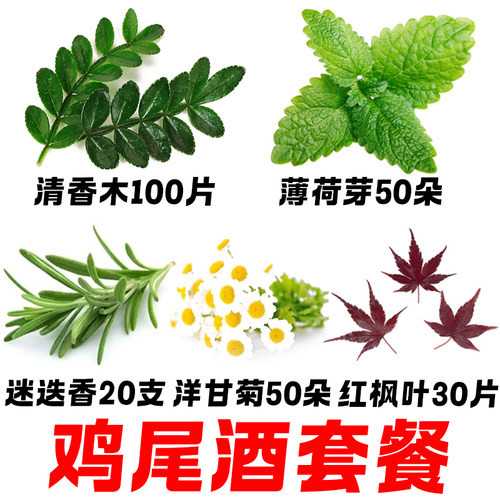 新鲜食品摆盘装饰套餐蛋糕烘焙鸡尾酒刺身清香木叶子三色堇薄荷芽 - 图0