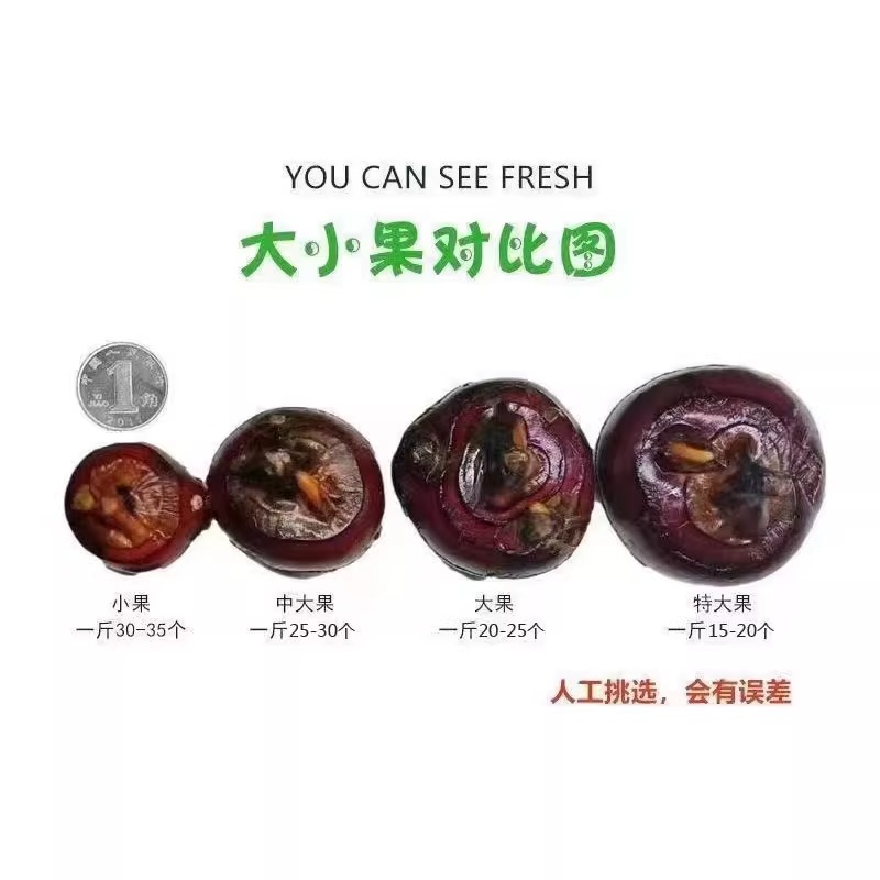 马蹄果当季整箱新鲜时令水果蔬菜10斤脆甜多汁荸荠大个饽荠现挖5 - 图2